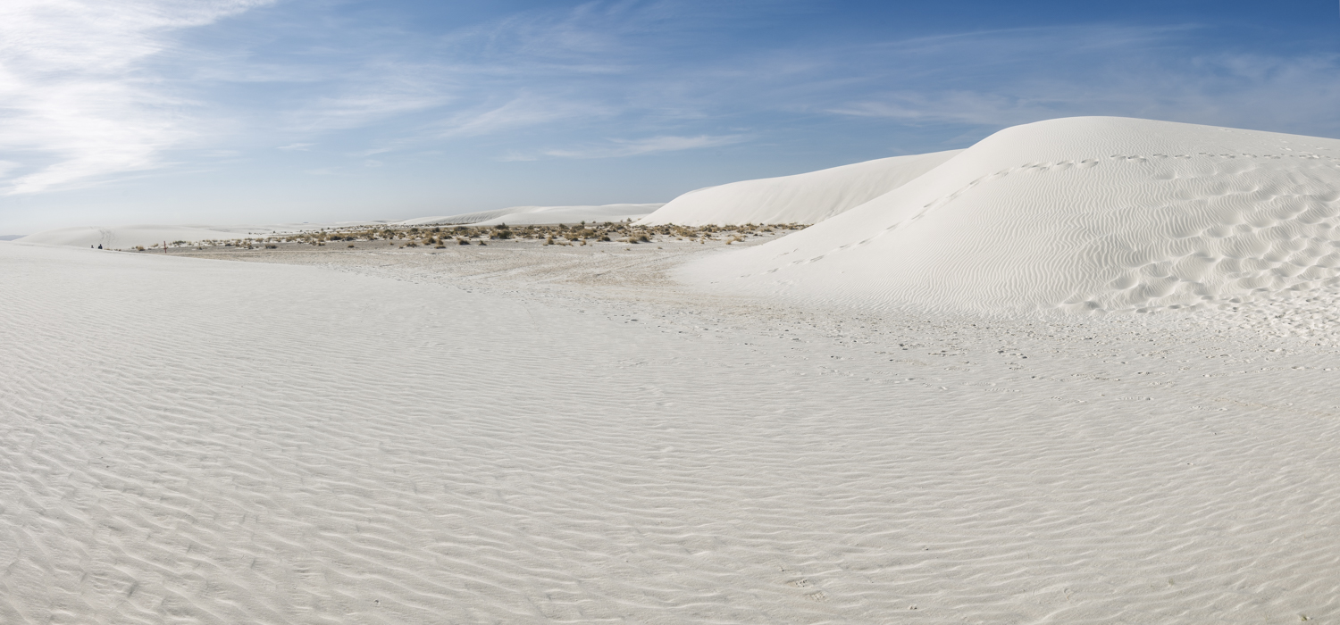 Trails Across the Gypsum Dunes