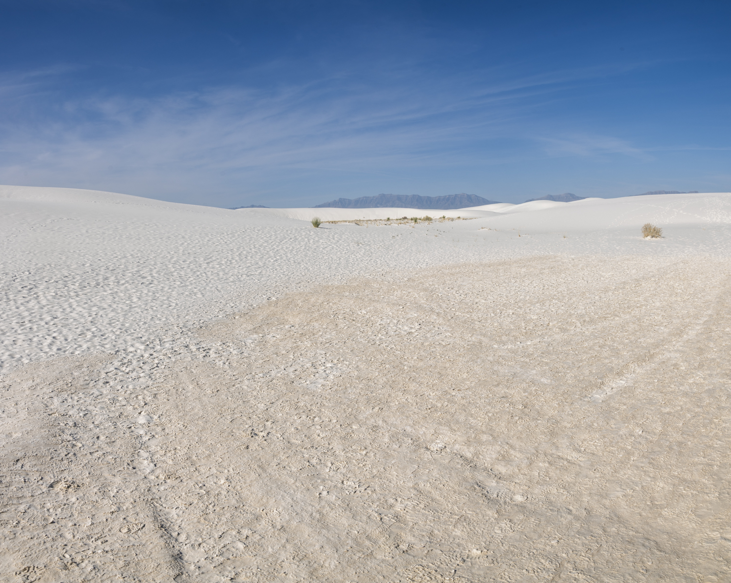 White Dunes Beneath the San Andres Mountains