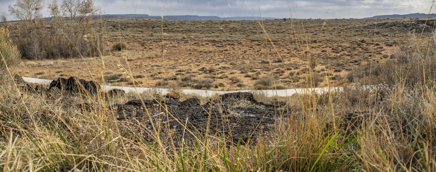 Lava and Grass Beneath a Gathering Storm