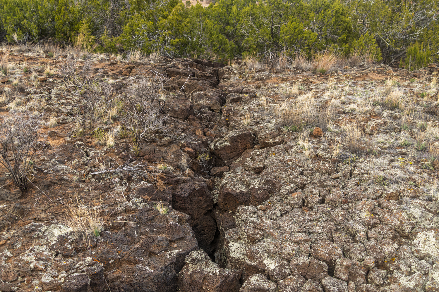 Crevice Through the Lava Field