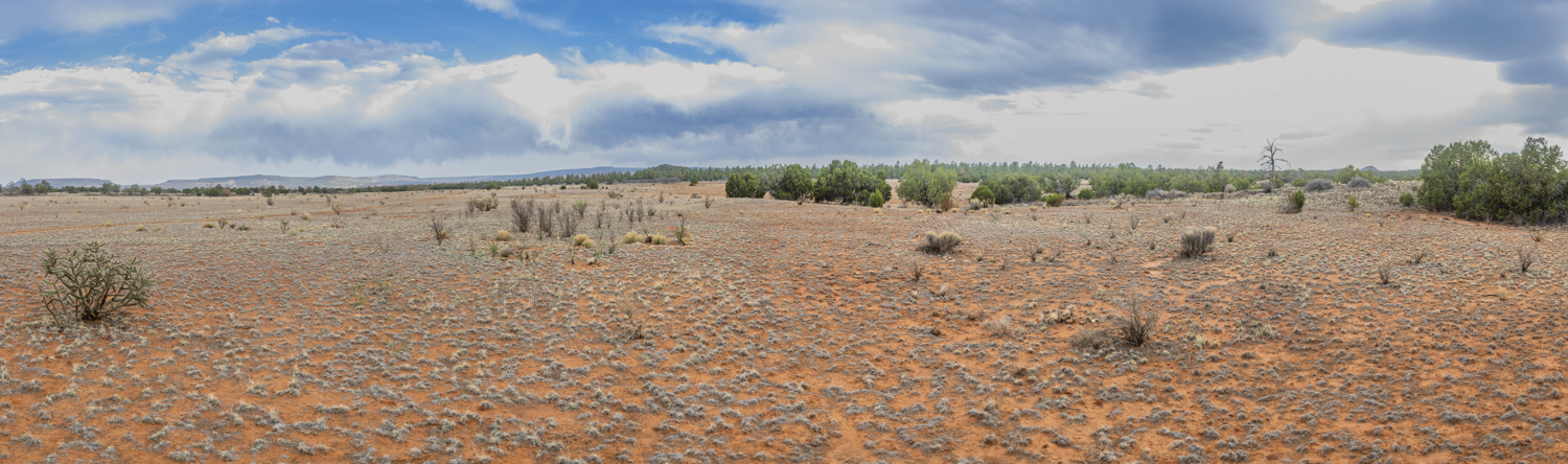 Open Desert Beneath a Breaking Storm