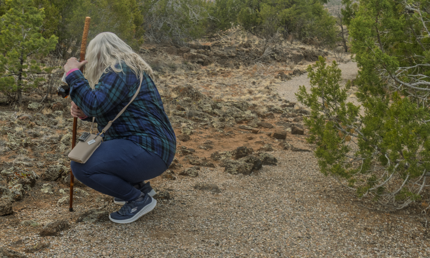A Closer Look Along the Lava Trail