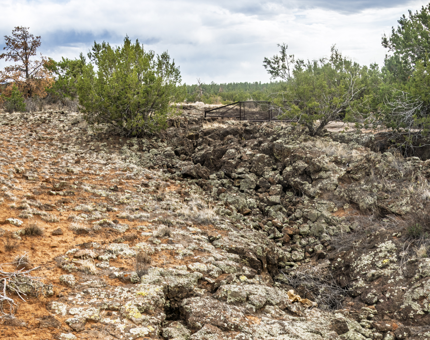Lava Channel Through the Junipers