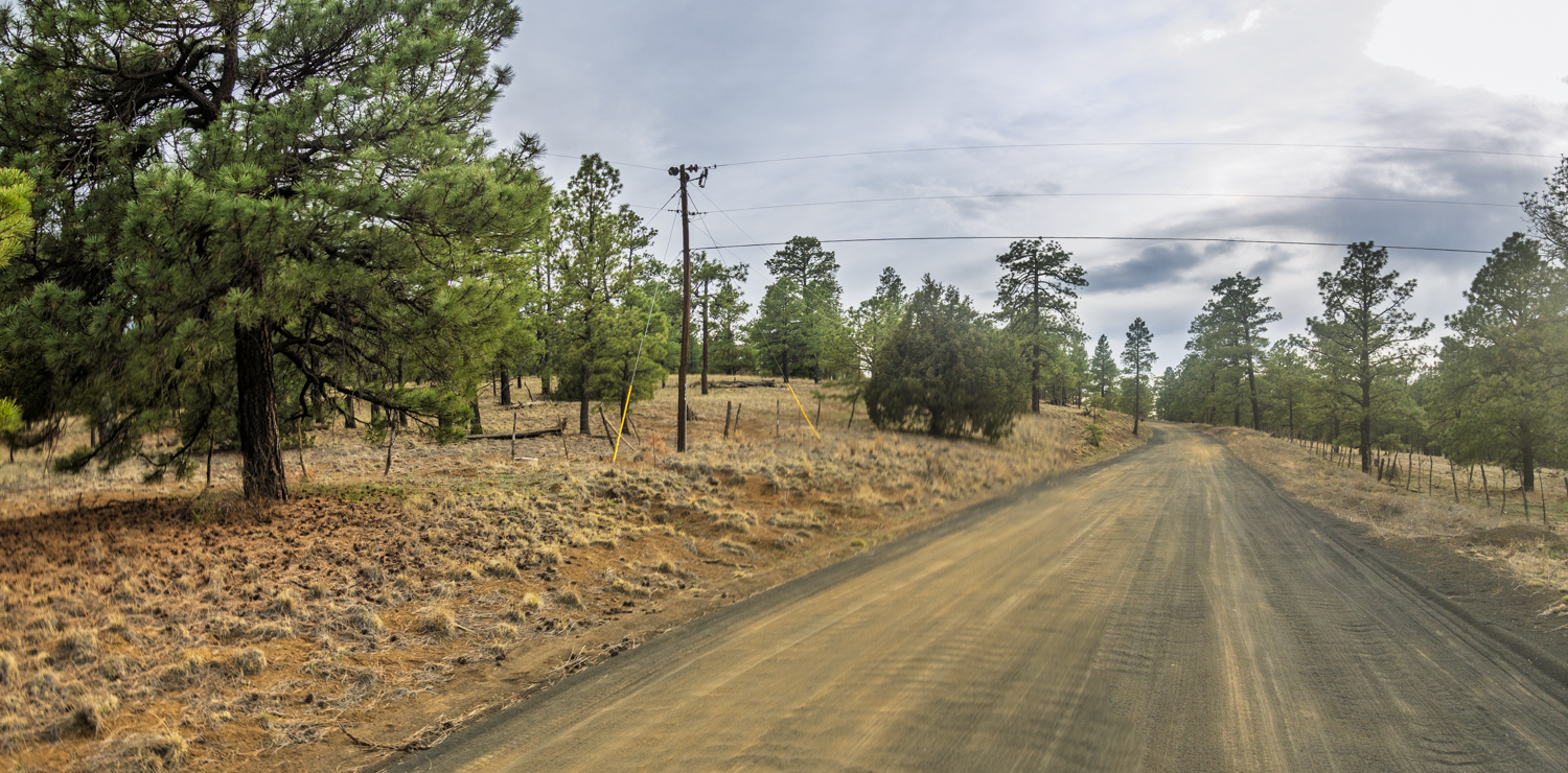Road Beneath the Gathering Storm