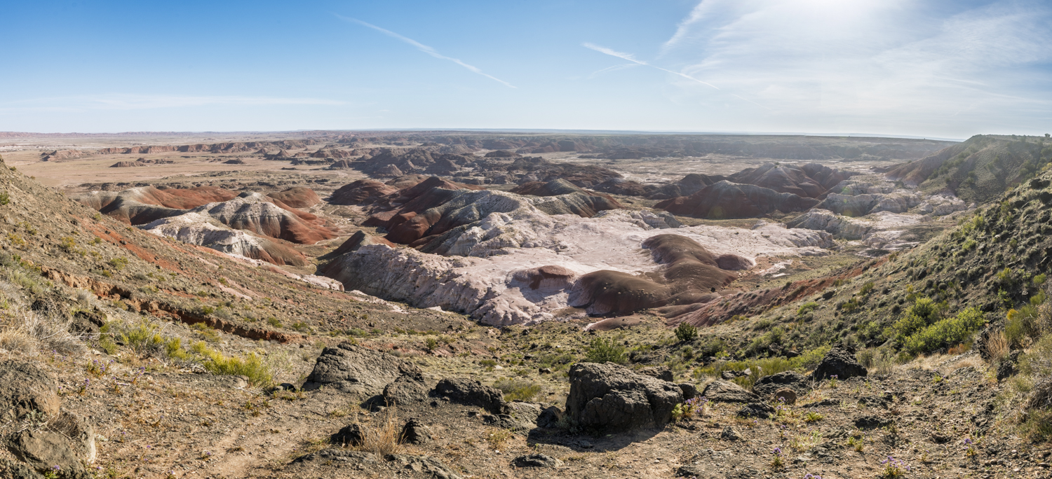 Morning Across the Painted Desert