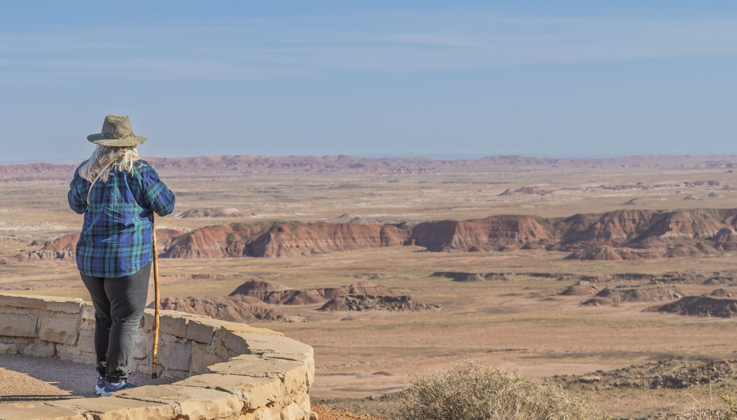 Taking in the Painted Desert