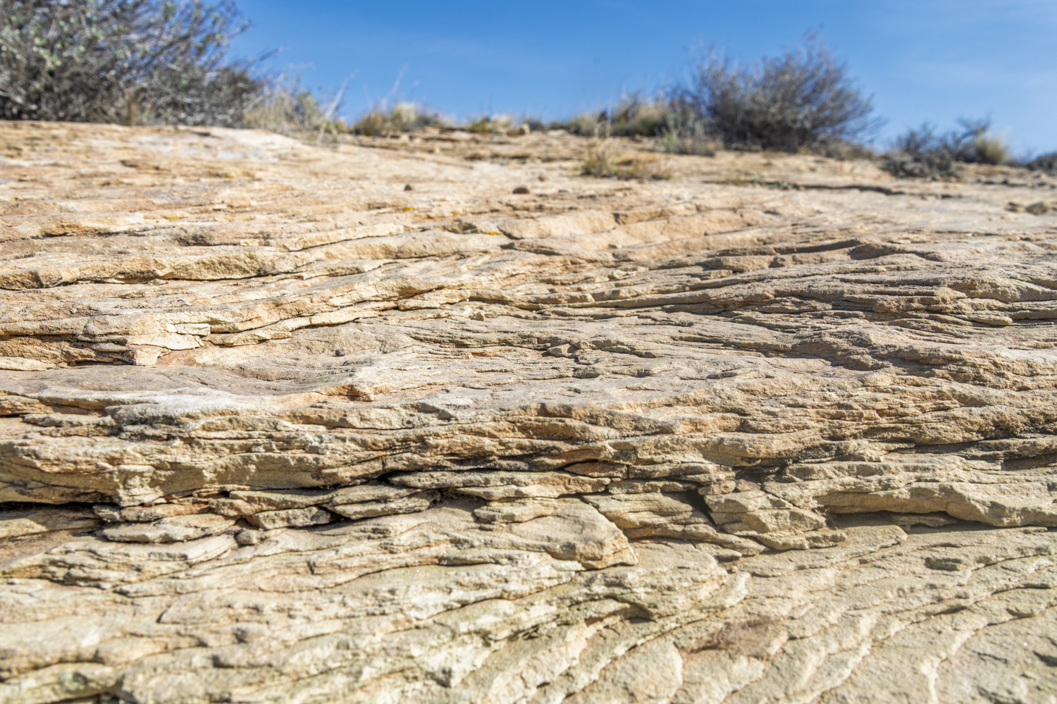 Layers of Time at Puerco Pueblo