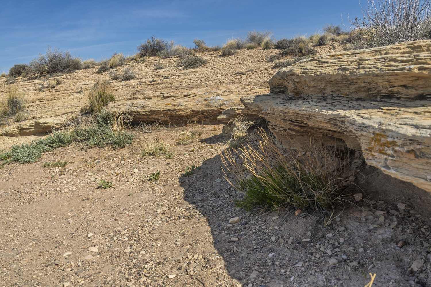 Layers of the Painted Desert