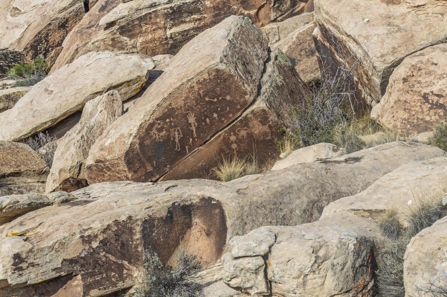 Ancient Stories Etched in Stone