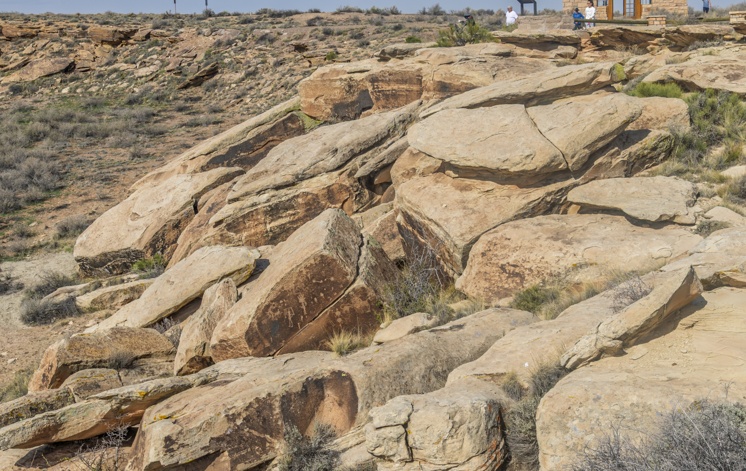 Petroglyphs Across the Desert Stones