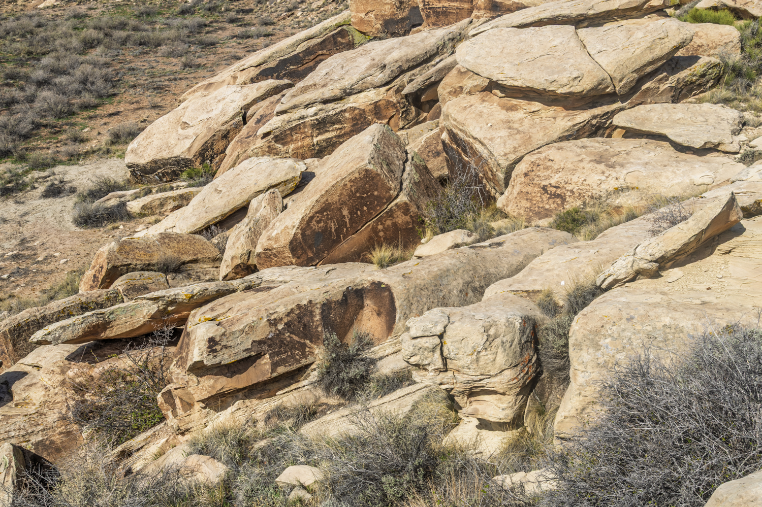 Stories Carved in Desert Stone