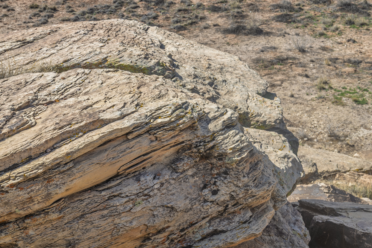 Layers of the Ancient Desert