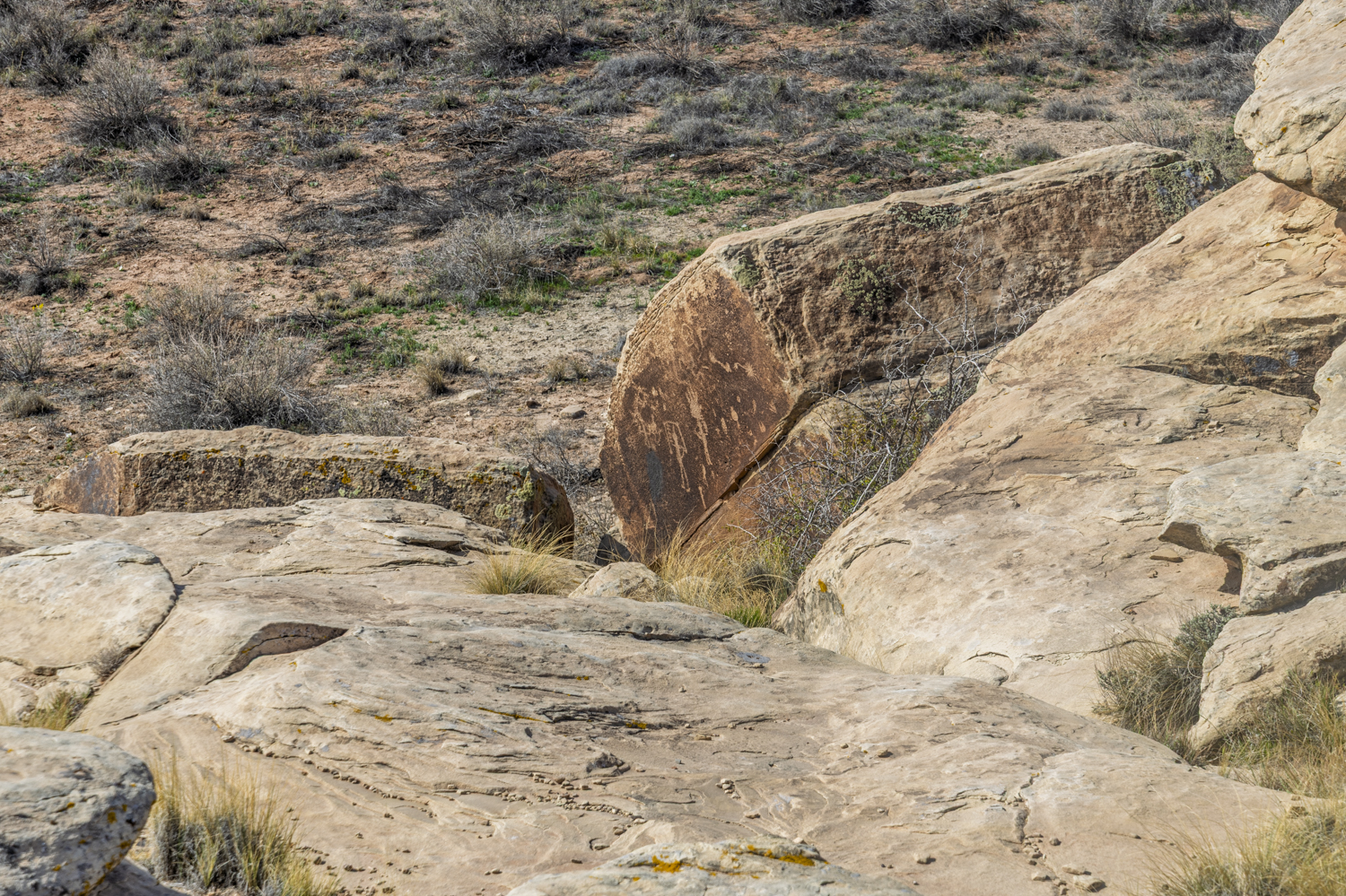 Ancient Stories on Stone