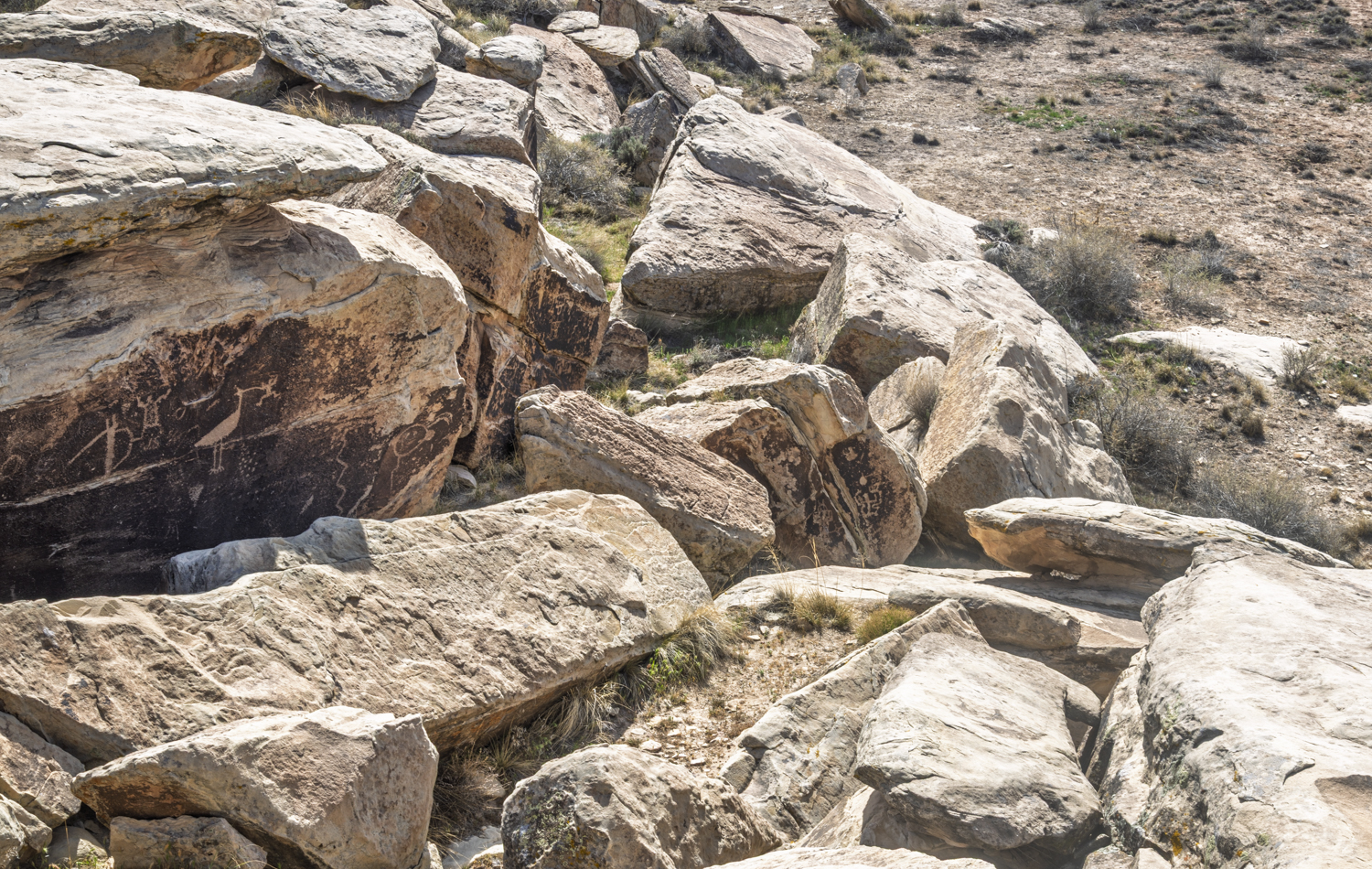 Petroglyphs Among the Desert Stones