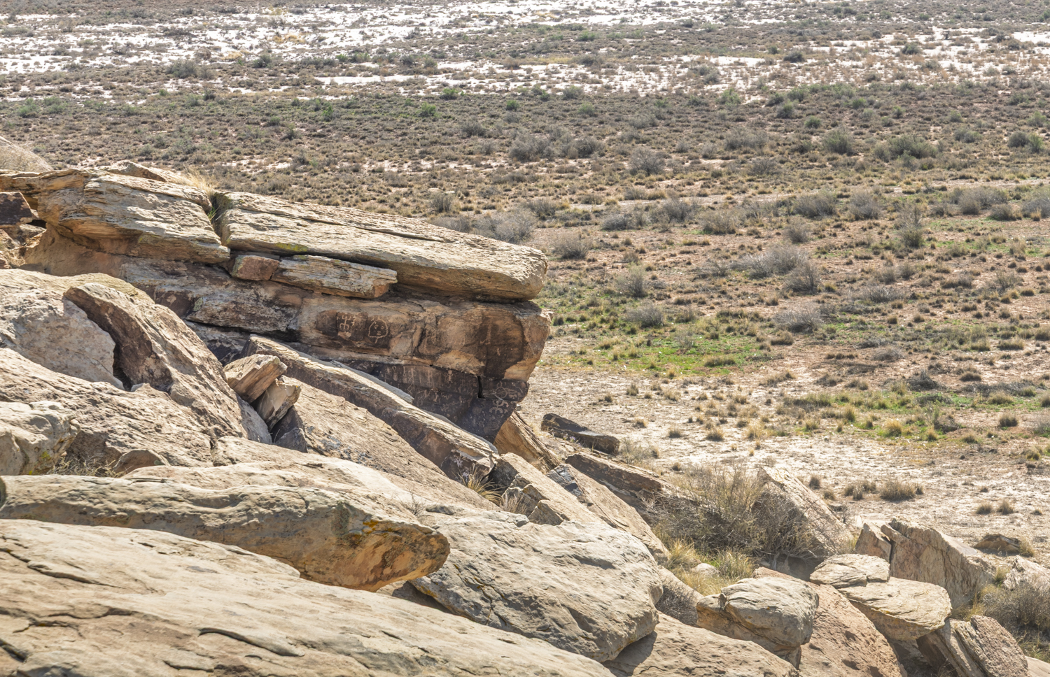 Petroglyphs Overlooking the Painted Desert