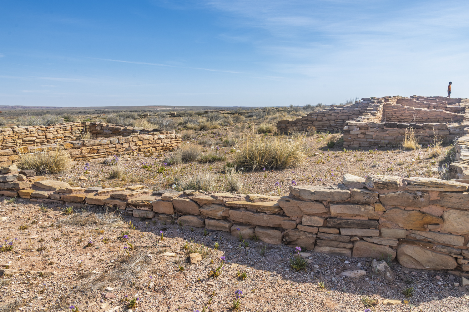 Ancient Walls of the Painted Desert