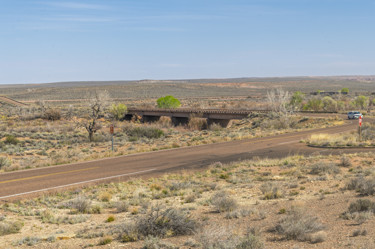 Desert Crossing at Mile Eleven