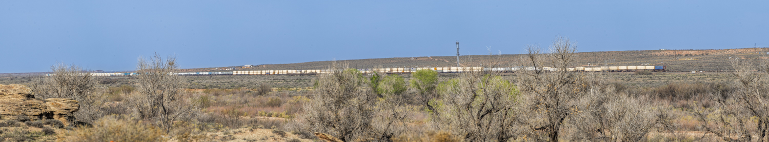 Freight Across the Painted Desert