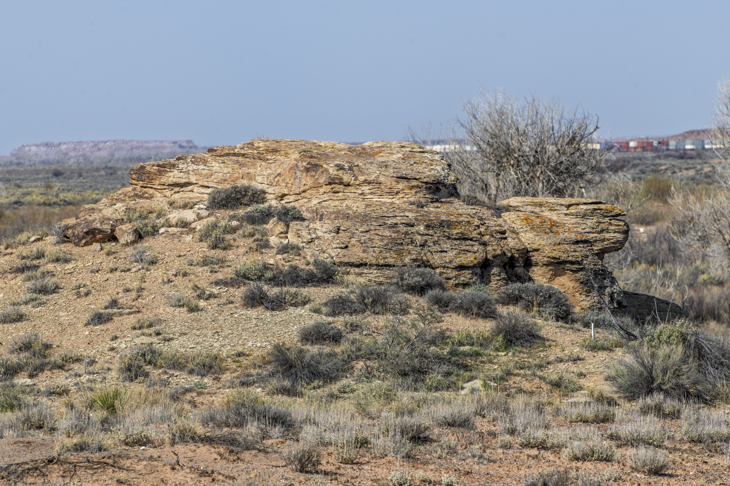 Ancient Layers of the Painted Desert