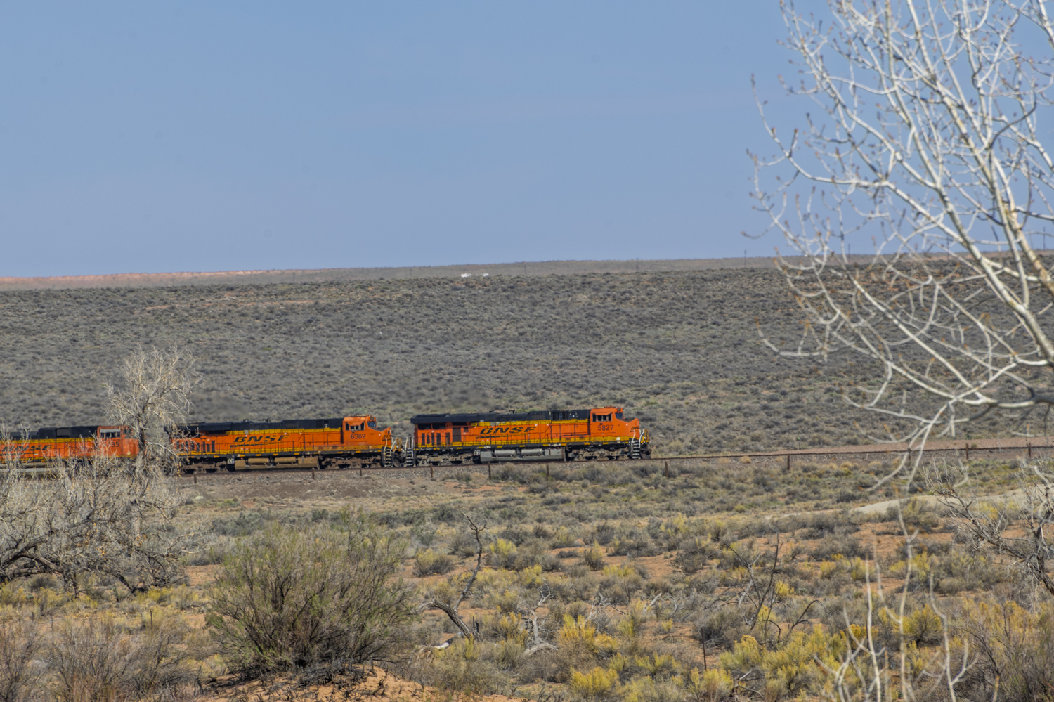 Desert Freight Through the Painted Desert