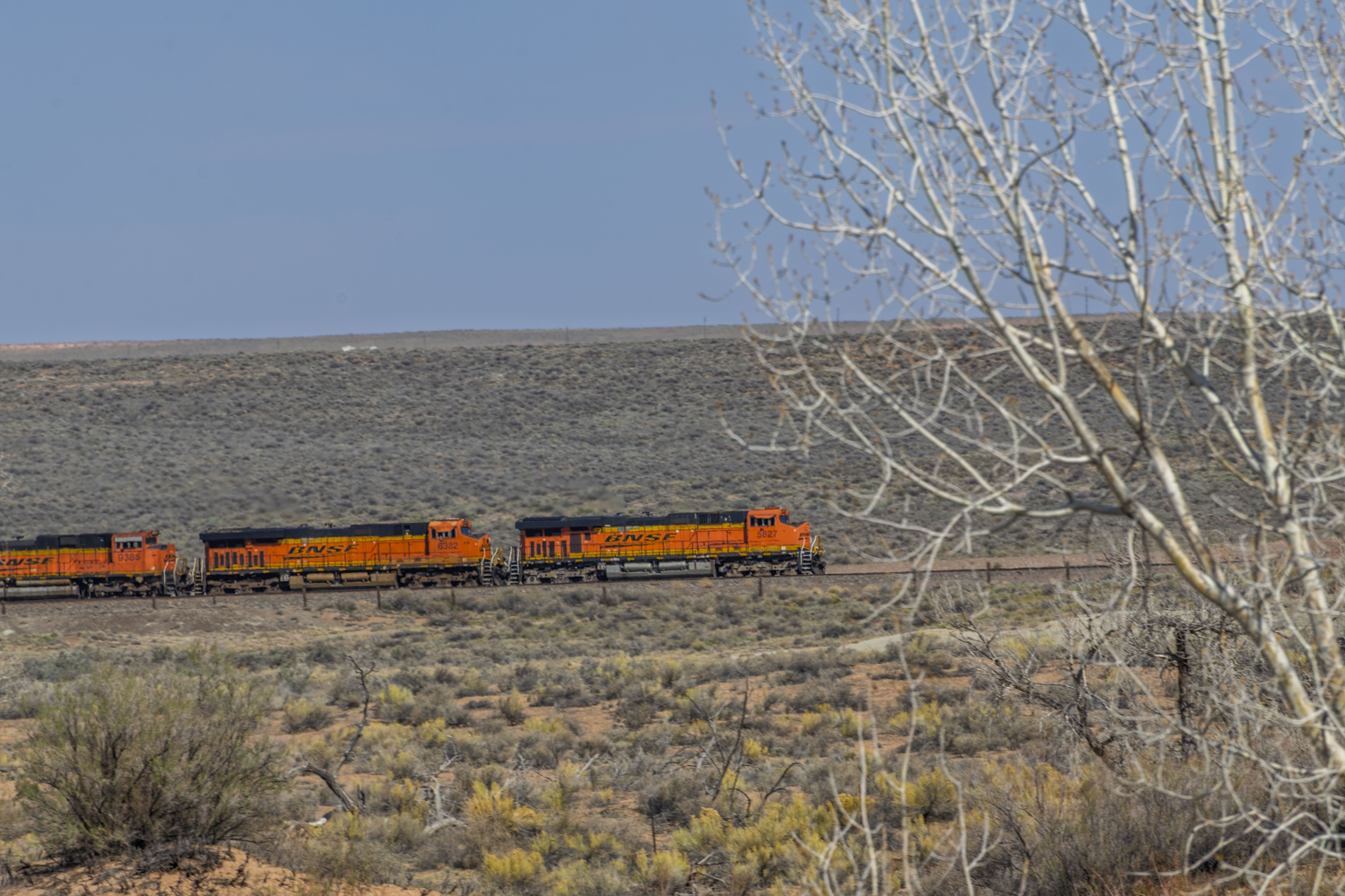 BNSF Across the Painted Desert