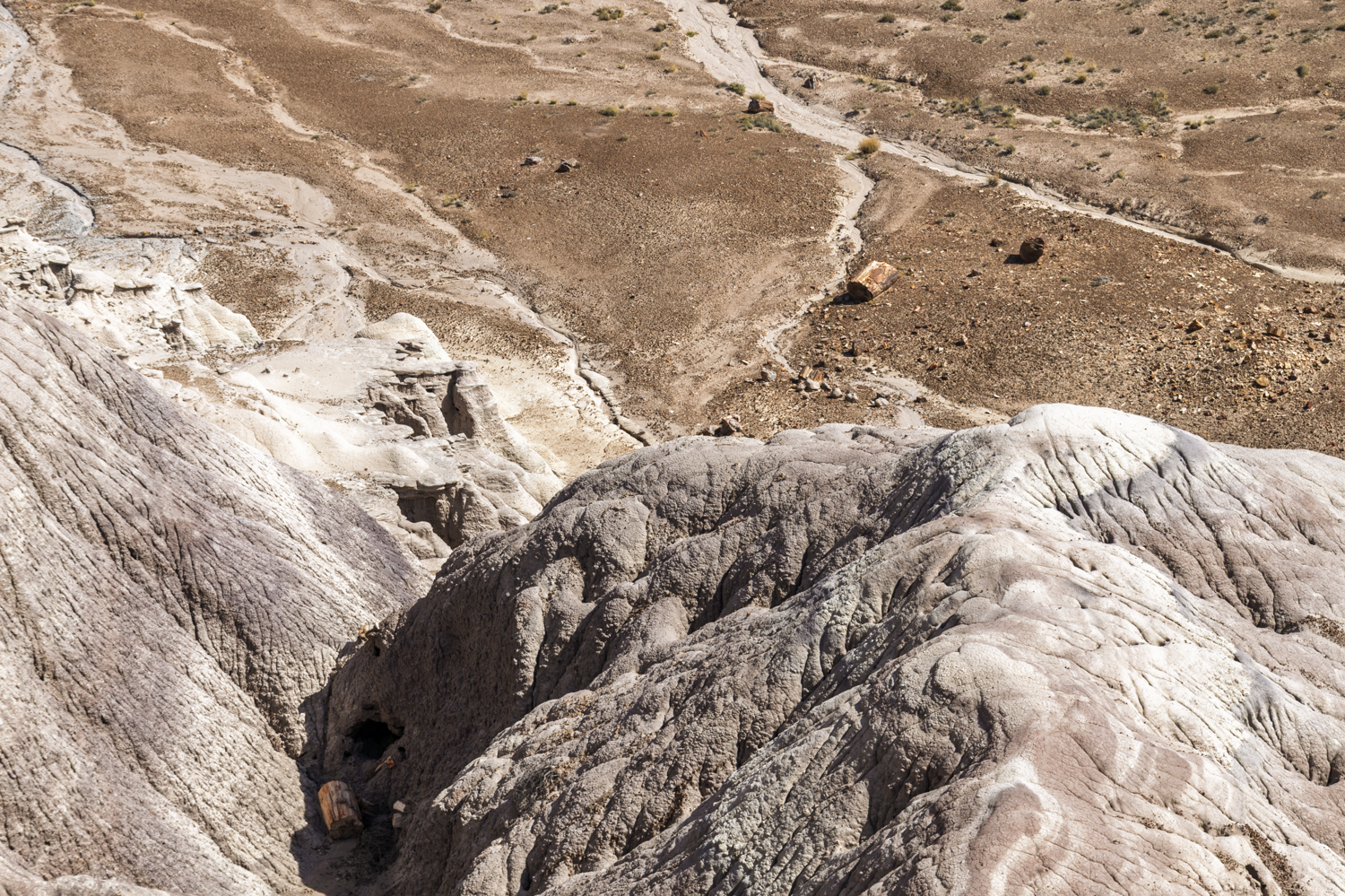 Erosion Reveals the Painted Desert
