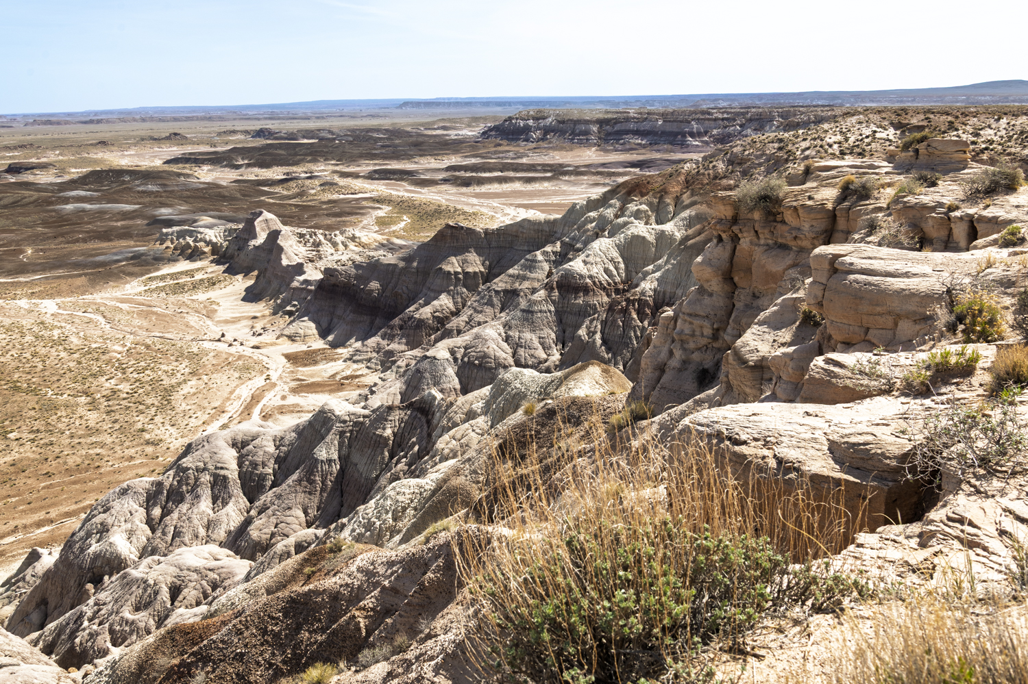 Sculpted Edge of the Painted Desert