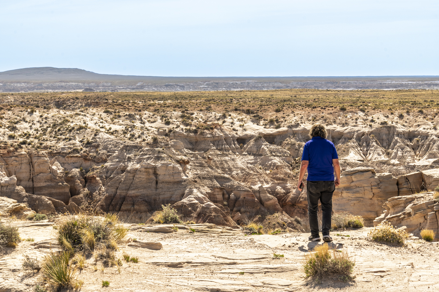 Standing at the Edge of the Painted Desert