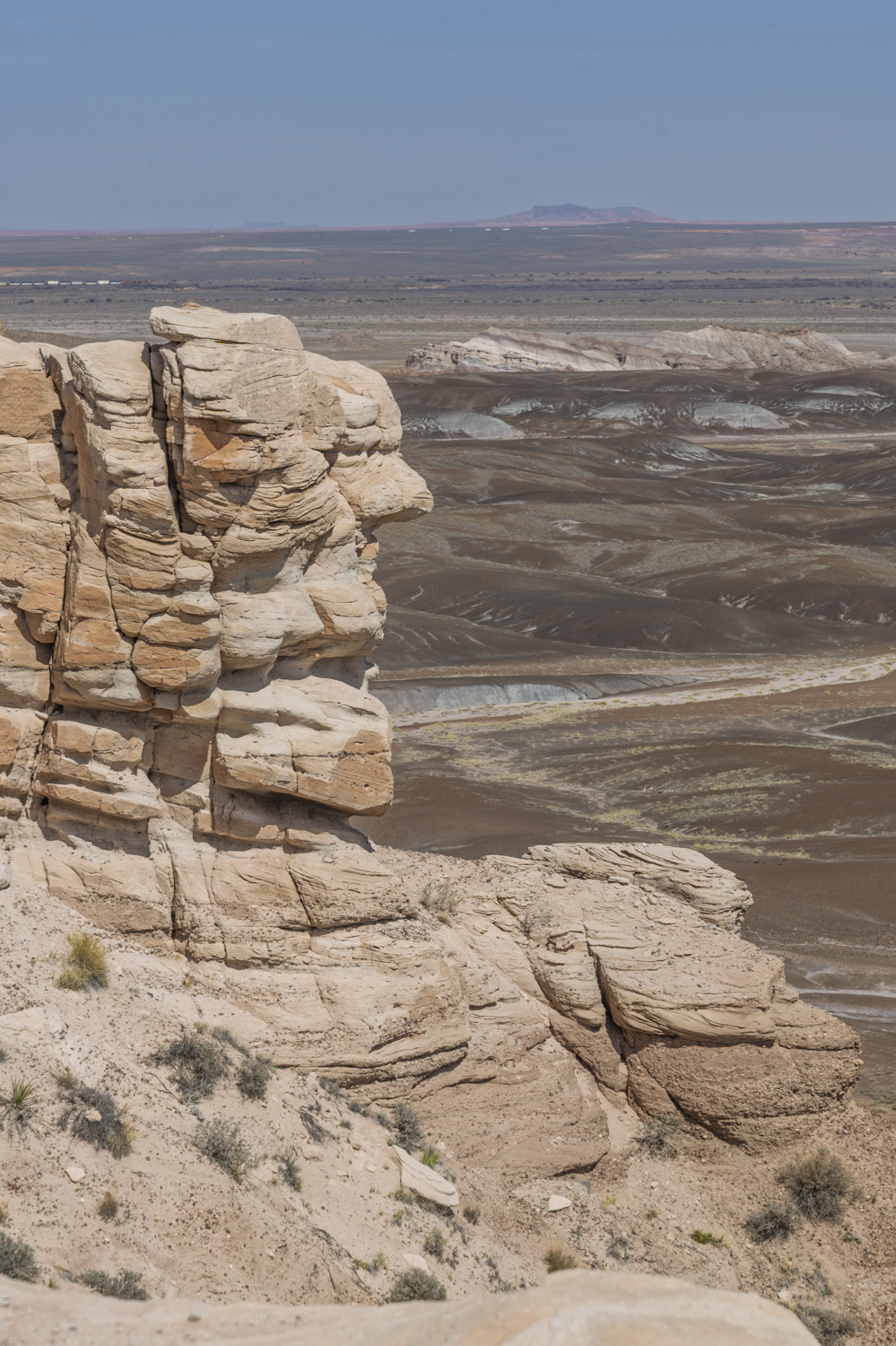 The Face in the Painted Desert