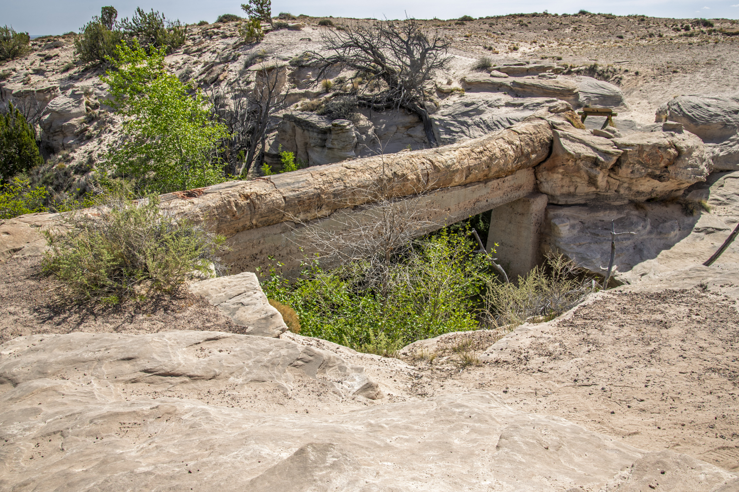 Agate Bridge: Stone Across the Ages