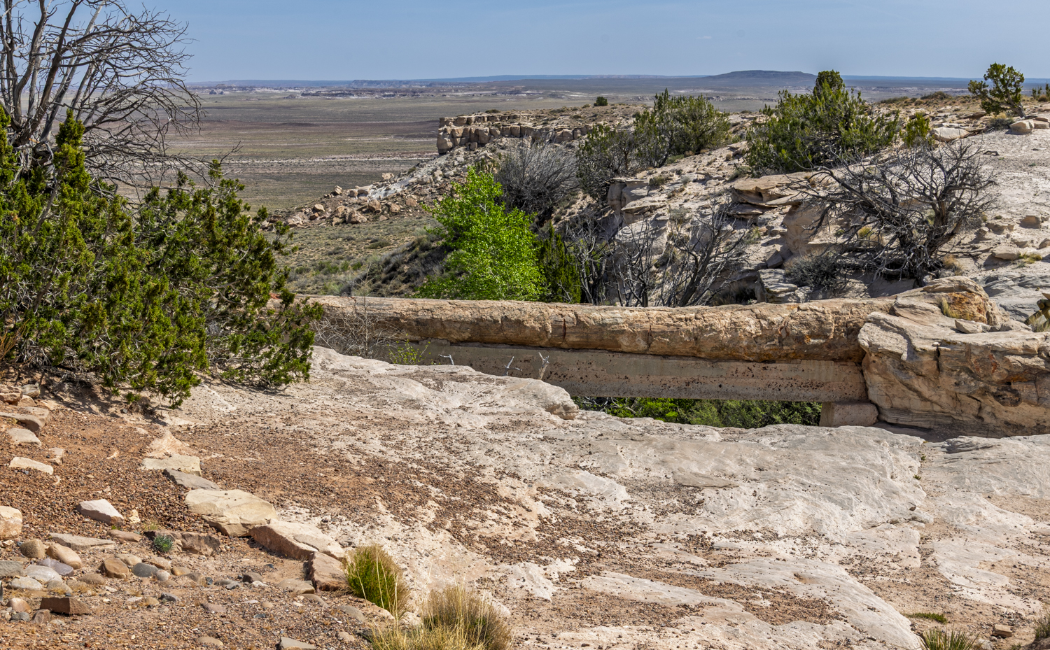 Petrified Passage