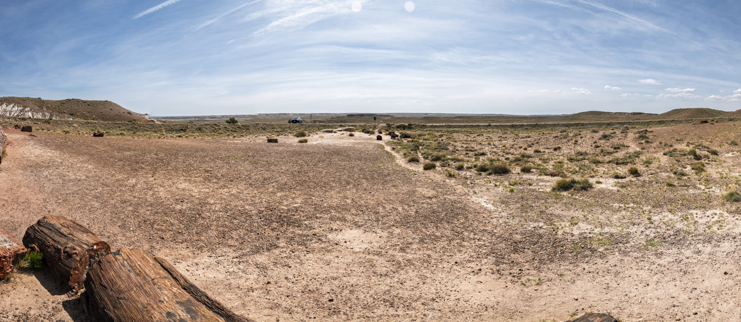 Panoramic View Across Crystal Forest