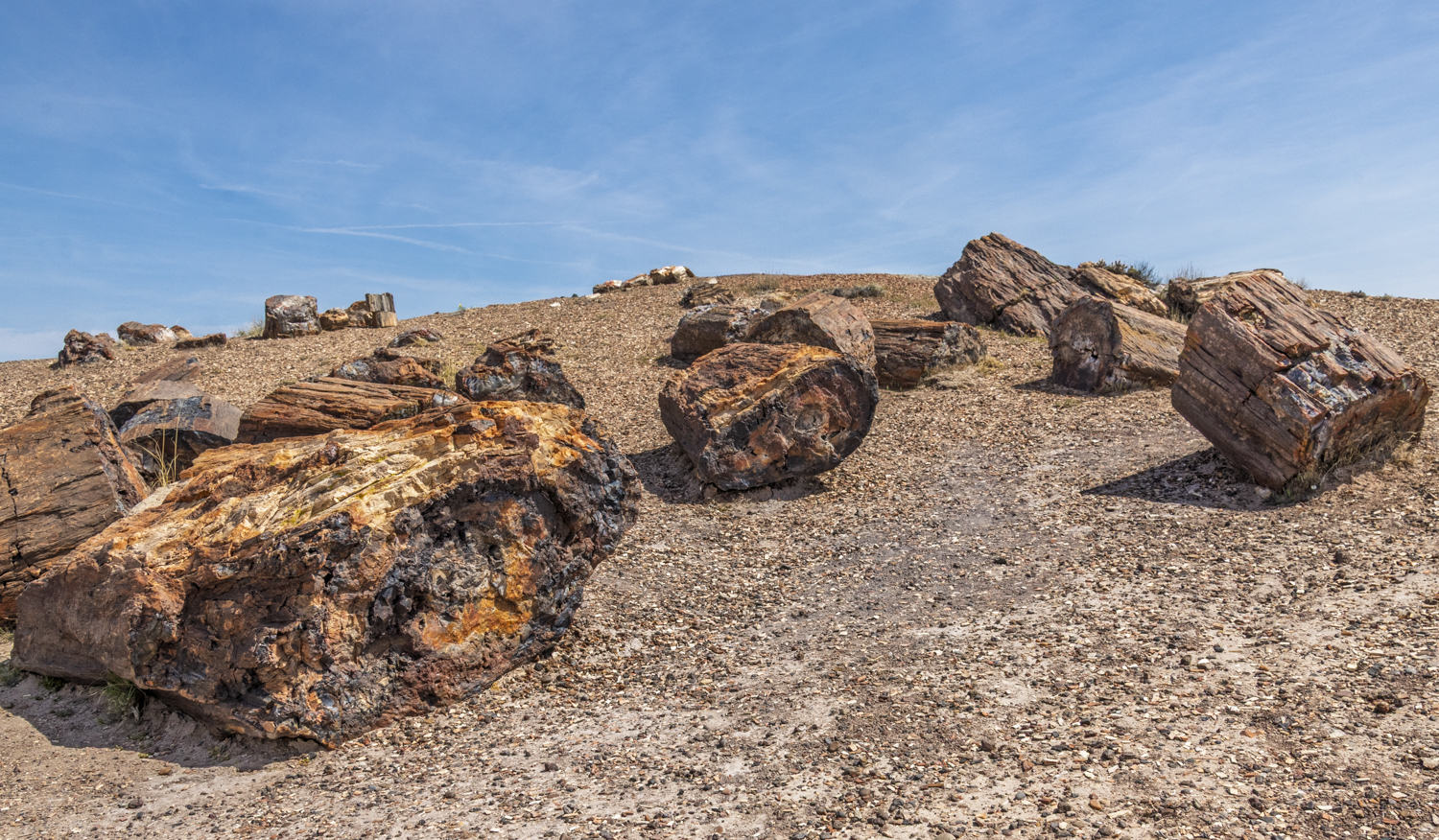 Petrified Giants of Crystal Forest