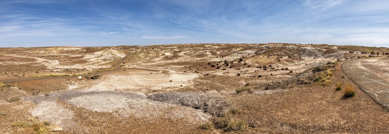 Panorama of Crystal Forest's Ancient Landscape