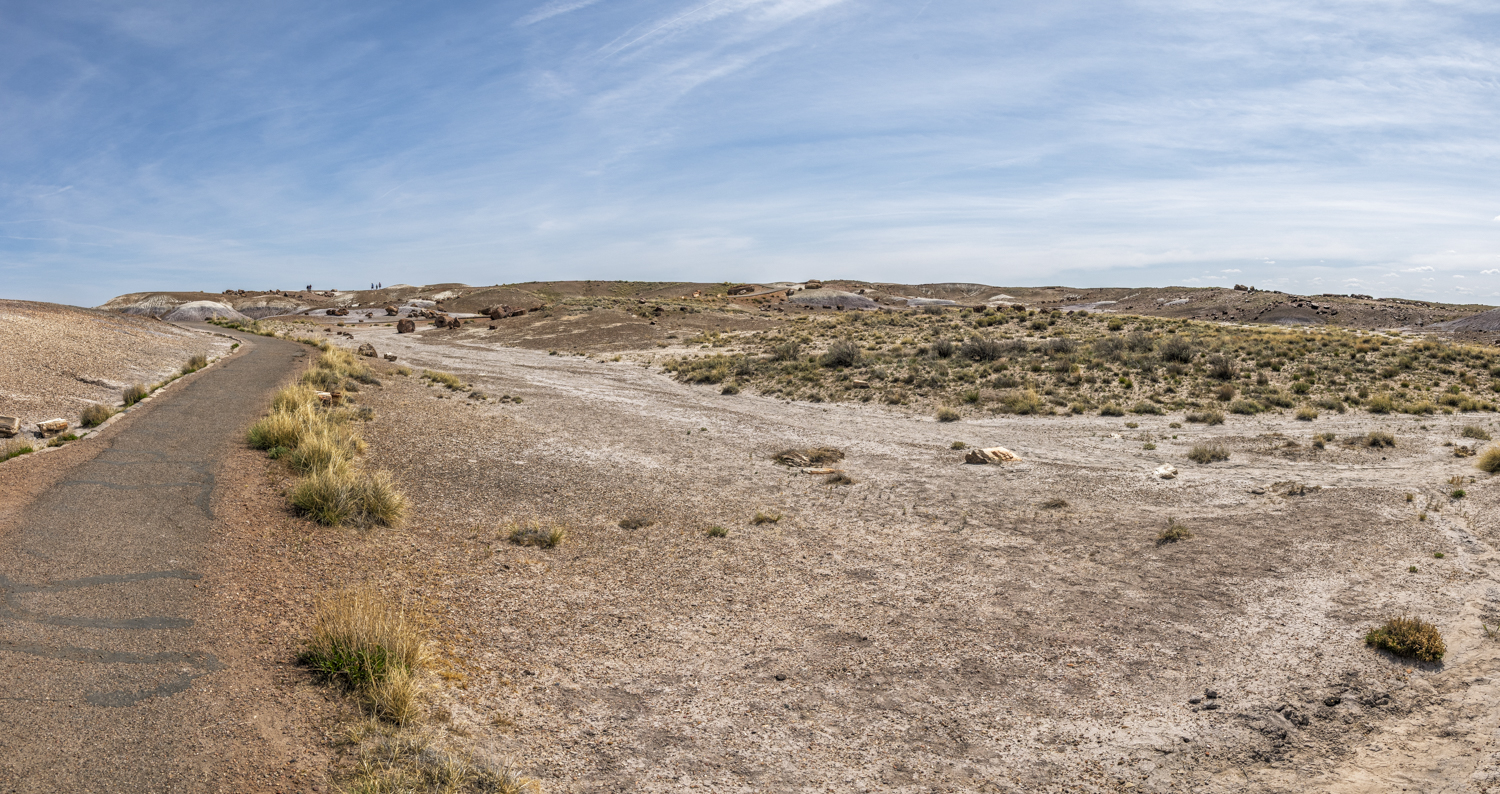 Crystal Forest Trail Through Petrified Wood