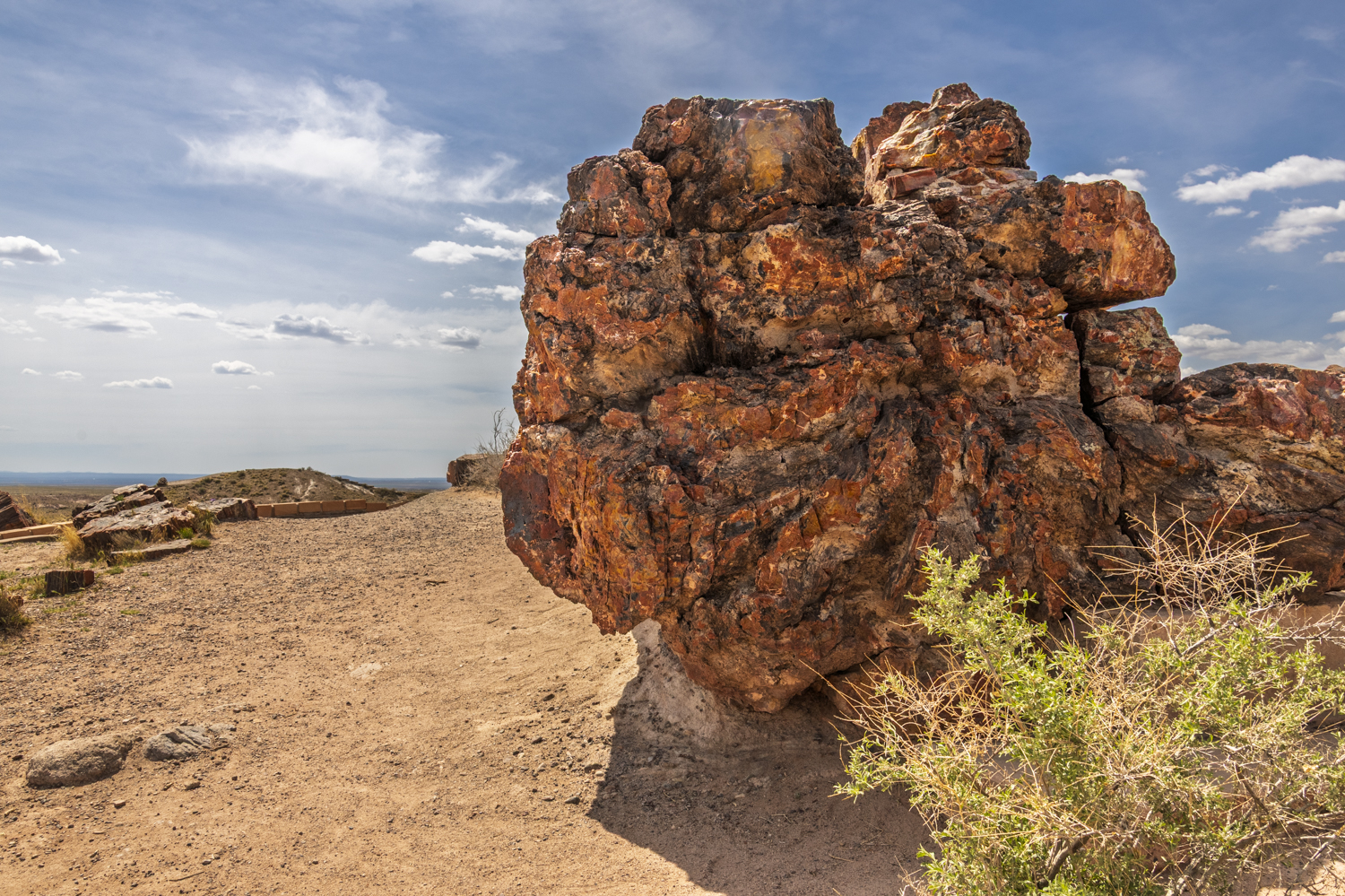 Ancient Petrified Giant Beneath Arizona Skies