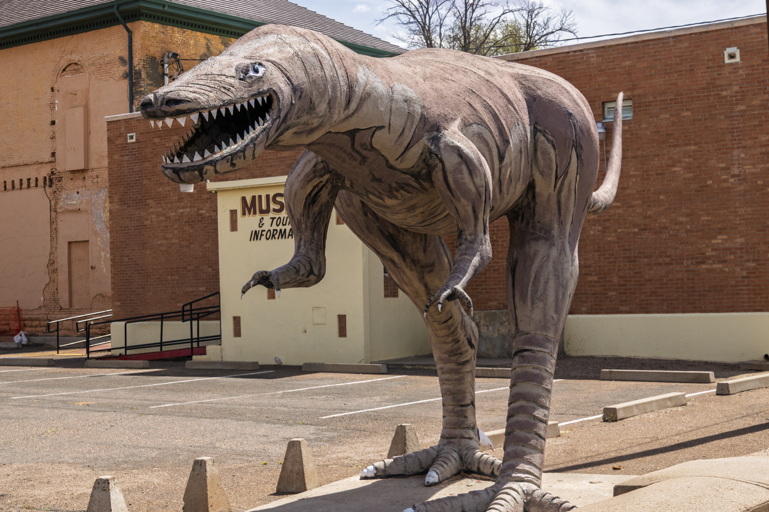 Prehistoric Predator in Winslow