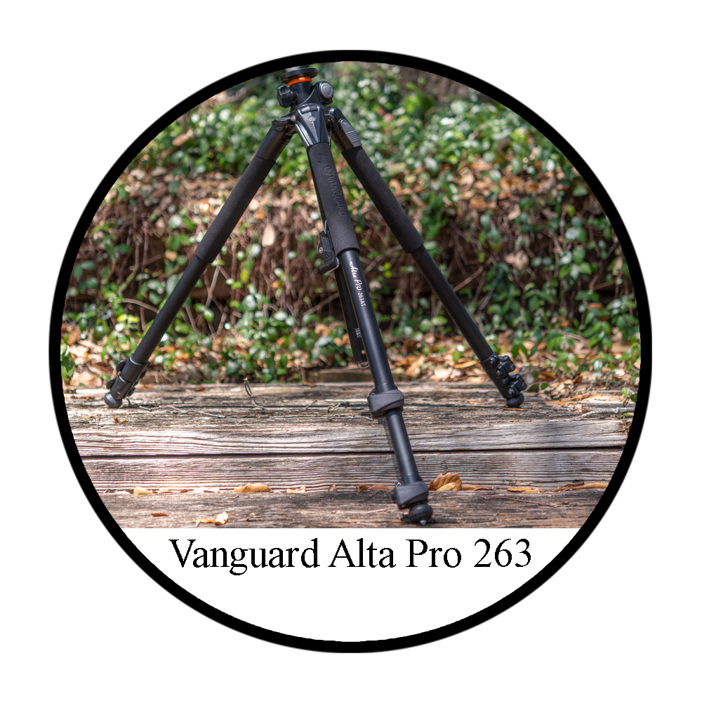 Vanguard Alta Pro 263