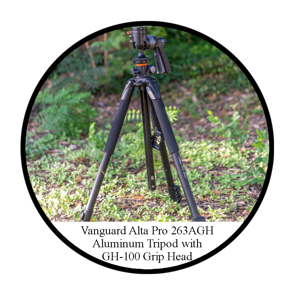 Vanguard Alta Pro 263AGH Aluminum Tripod with GH-100 Grip Head
